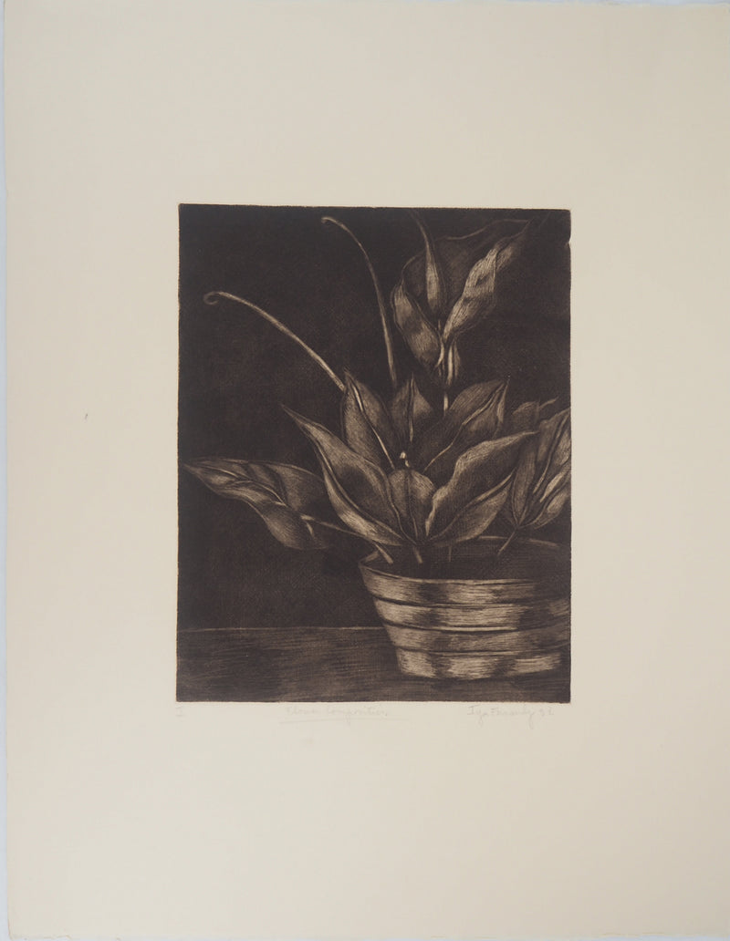 Iya FERNANDEZ : Flower Composition - Gravure