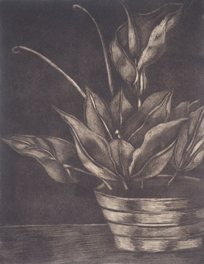 Iya FERNANDEZ : Flower Composition - Gravure (détail)