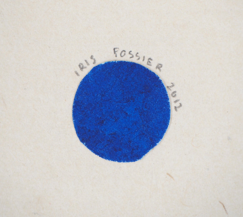 Iris FOSSIER : Le zèbre sous l&