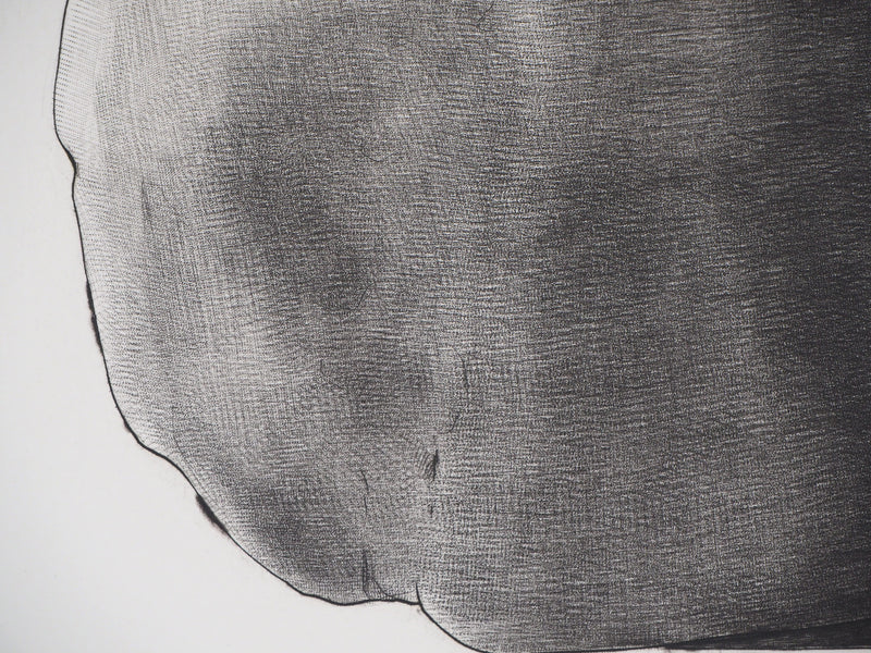 Christian FOSSIER : Empaquetage (f) - Gravure (détail)