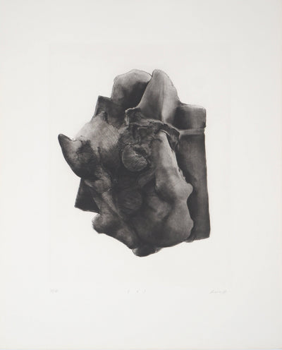 Christian FOSSIER : Empaquetage(e) - Gravure (détail)