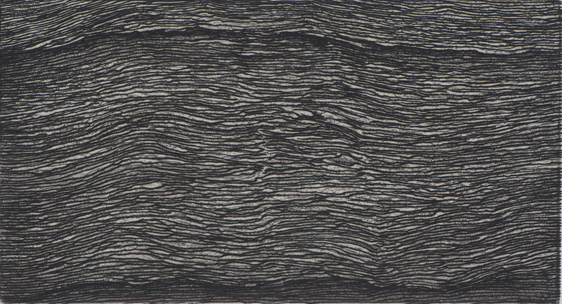 Christian FOSSIER : Feuilles du livre - Gravure