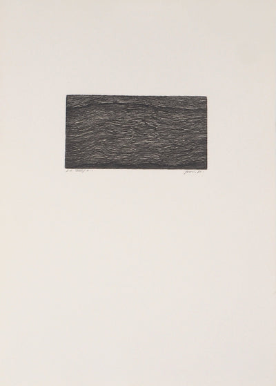 Christian FOSSIER : Feuilles du livre - Gravure (détail)