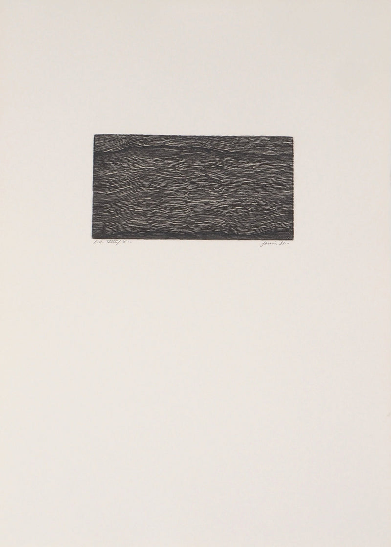 Christian FOSSIER : Feuilles du livre - Gravure (détail)