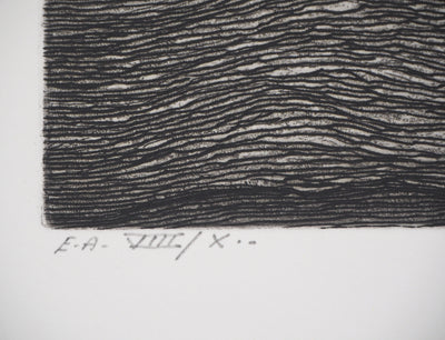 Christian FOSSIER : Feuilles du livre - Gravure (détail)