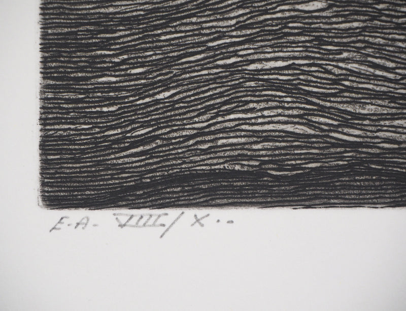 Christian FOSSIER : Feuilles du livre - Gravure (détail)