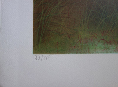 Daniel GALLAIS : Aurore Japon - Lithographie (détail)