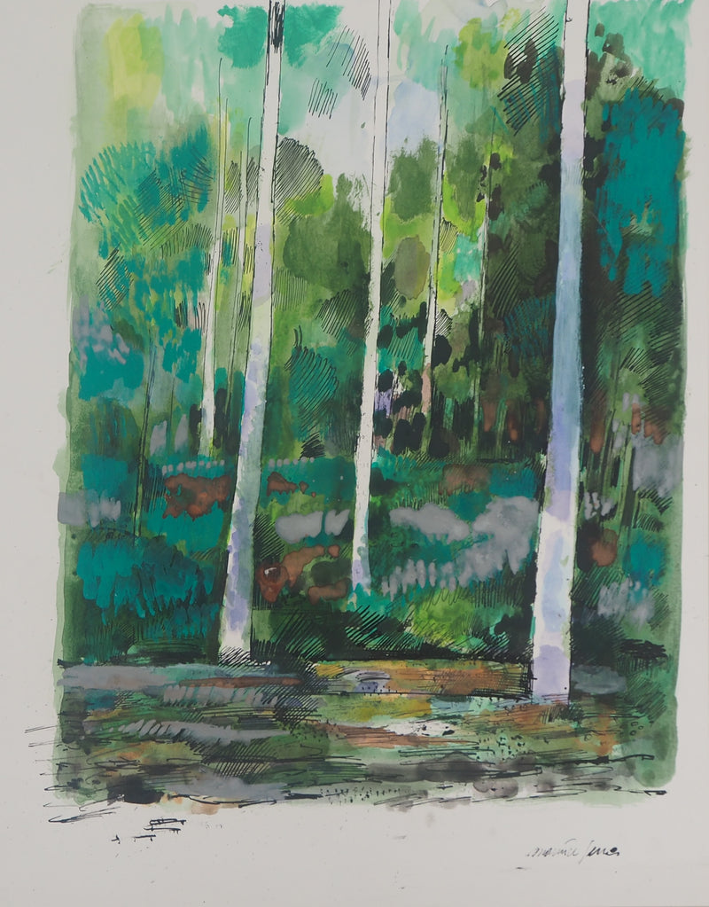 Maurice GENIS : Forêt : Les bouleaux - Dessin