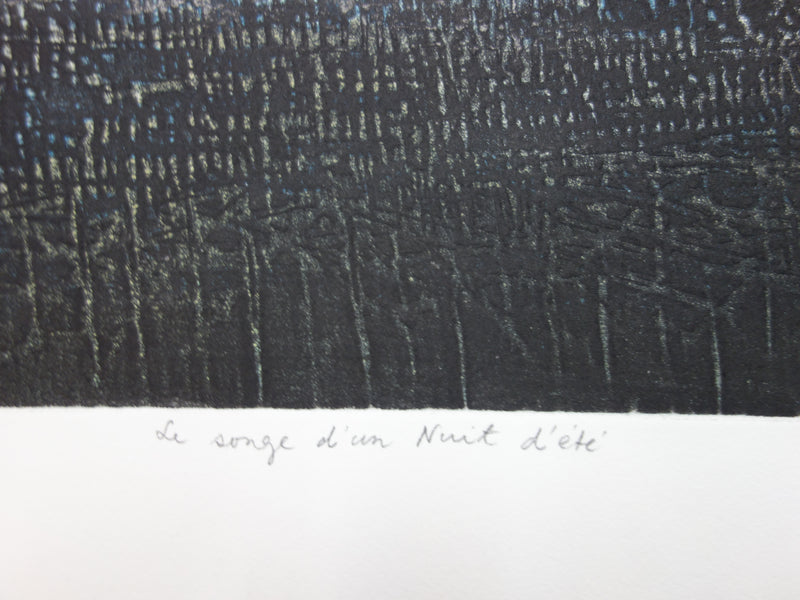 Tapan GHOSH : Le songe d&