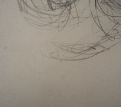 Alberto GIACOMETTI : Les Alpes - Lithographie (détail)