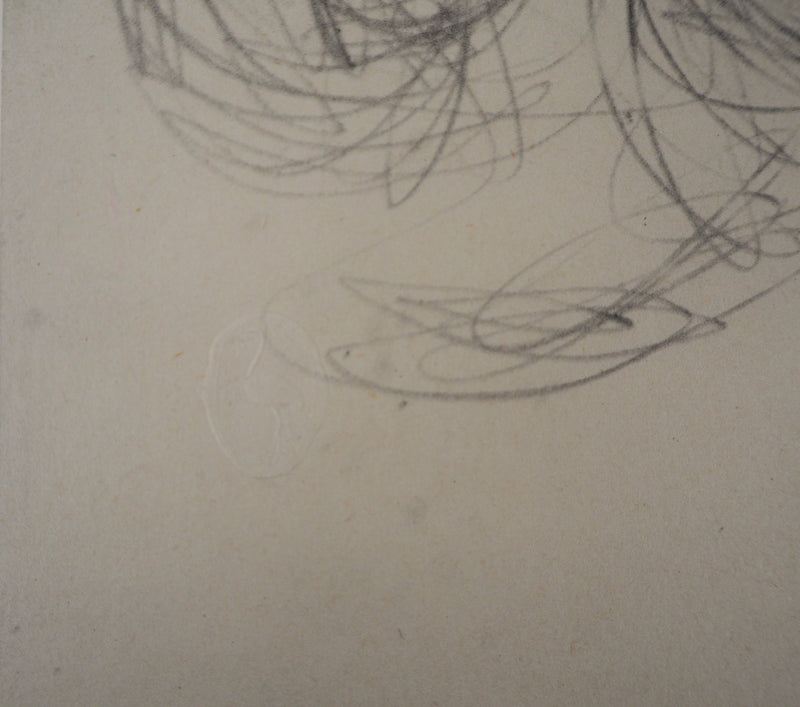 Alberto GIACOMETTI : Les Alpes - Lithographie (détail)