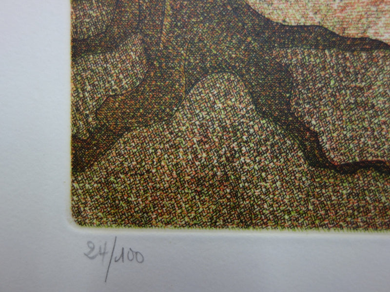  GIRAUD : La forêt enchantée - Gravure (détail)