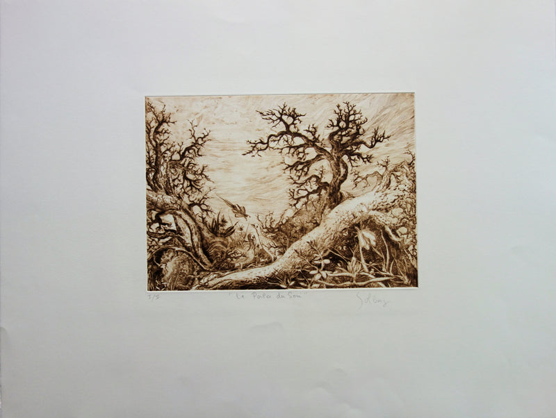  GOLBERG : Paysage imaginaire - Gravure