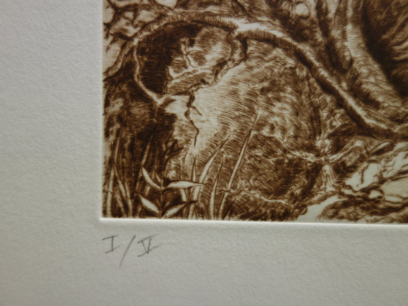  GOLBERG : Paysage imaginaire - Gravure (détail)