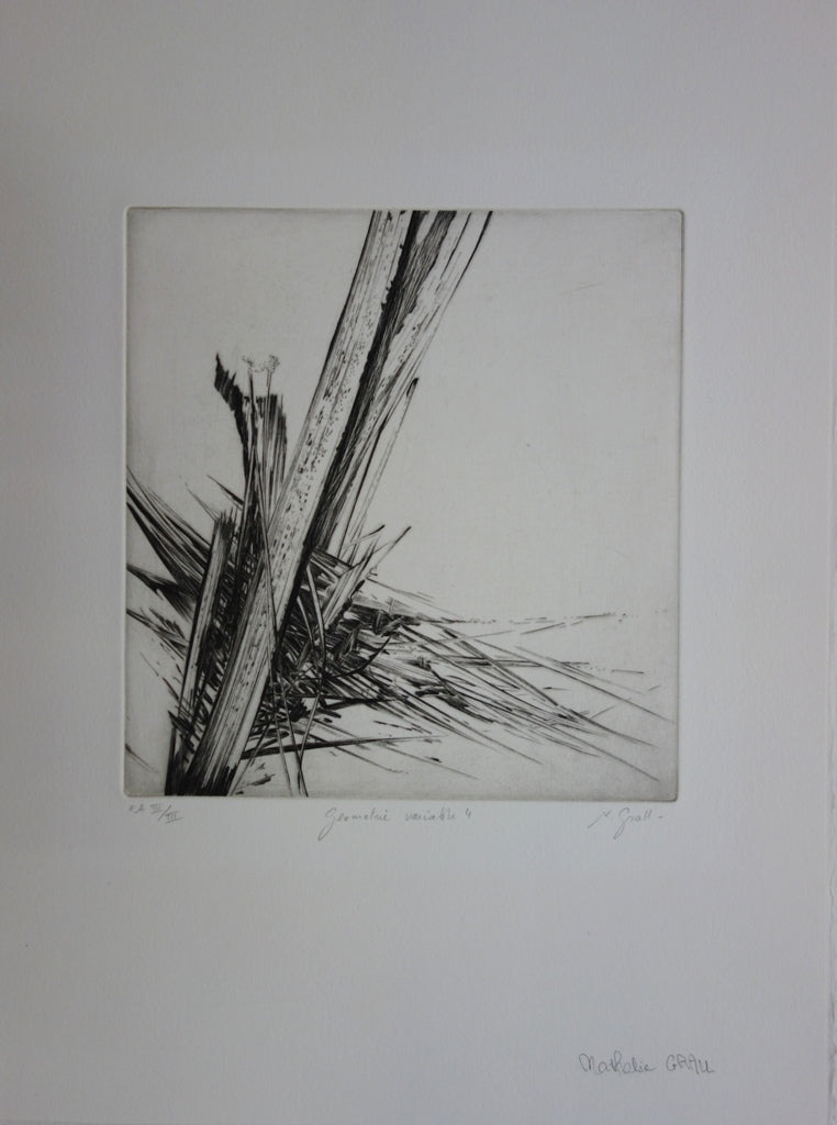 Nathalie GRALL : Géométrie variable - Gravure