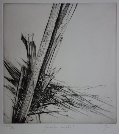 Nathalie GRALL : Géométrie variable - Gravure (détail)
