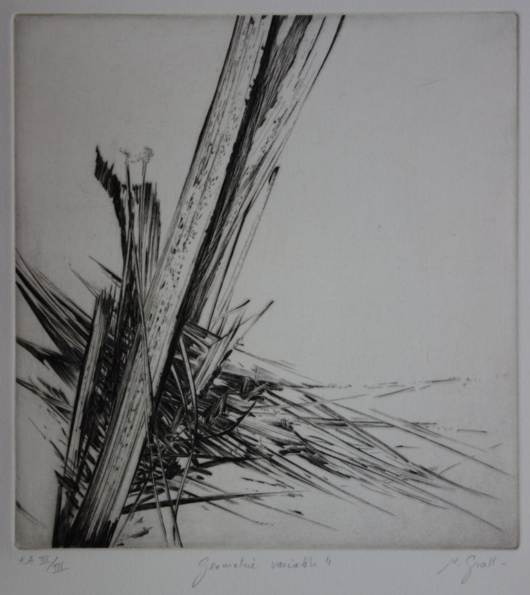 Nathalie GRALL : Géométrie variable - Gravure (détail)