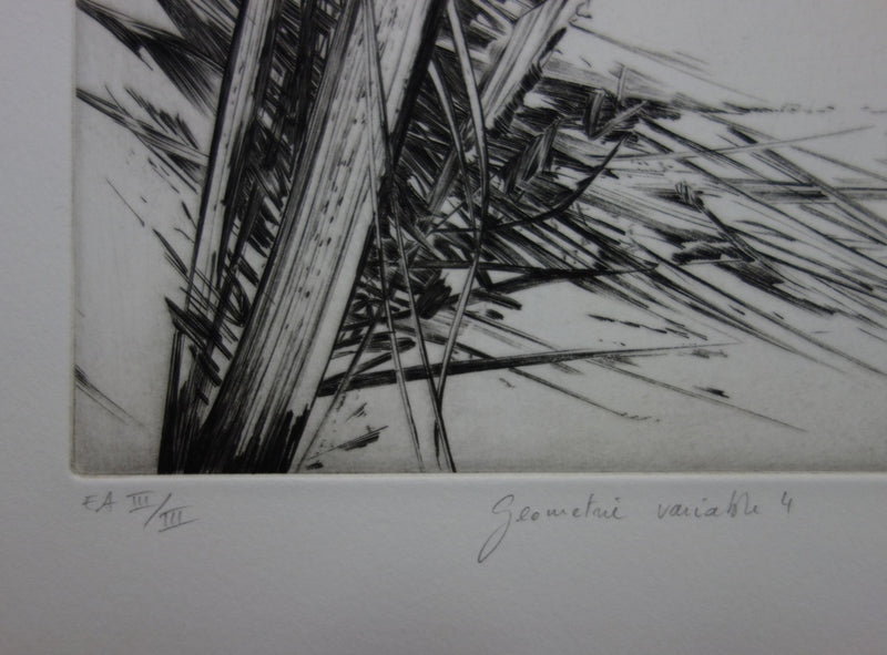 Nathalie GRALL : Géométrie variable - Gravure (détail)