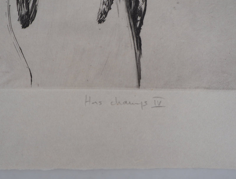 Nathalie GRALL : Hors champs IV - Gravure (détail)
