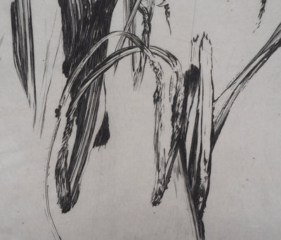 Nathalie GRALL : Hors champs IV - Gravure (détail)