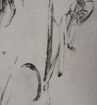 Nathalie GRALL : Hors champs IV - Gravure (détail)