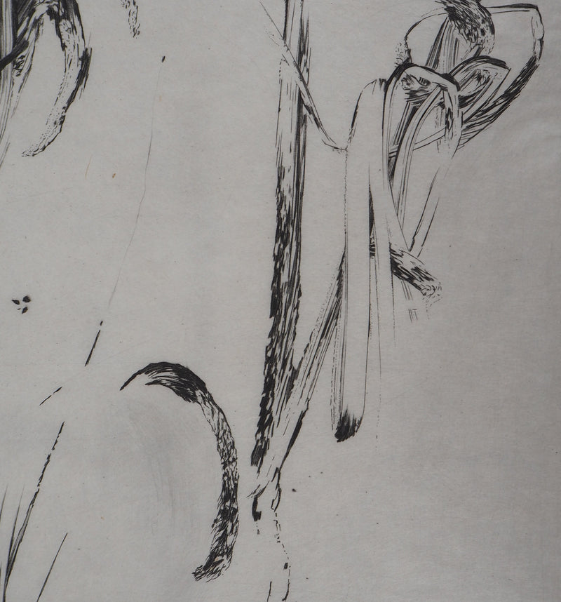Nathalie GRALL : Hors champs IV - Gravure (détail)
