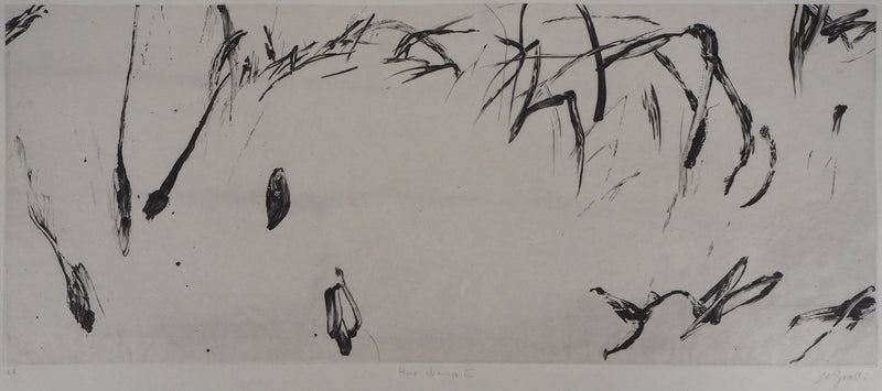 Nathalie GRALL : Hors champs III - Gravure (détail)