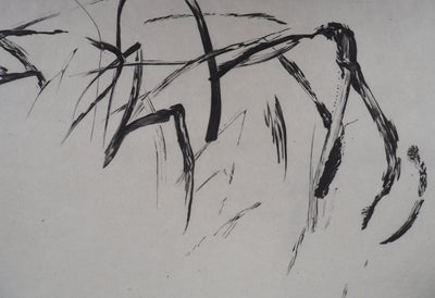 Nathalie GRALL : Hors champs III - Gravure (détail)