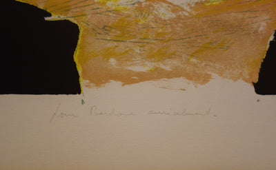 Paul GUIRAMAND : Oiseaux autours du nid - Lithographie (détail)