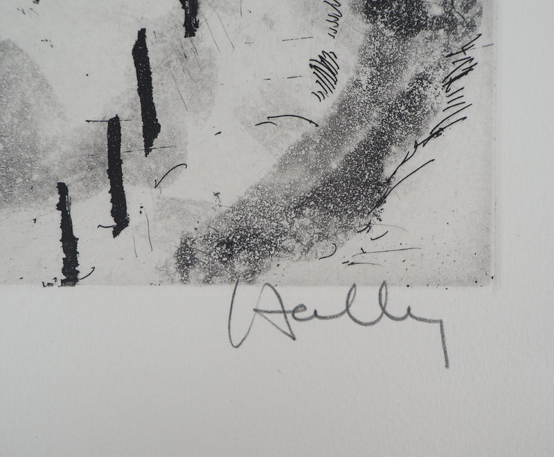 Jacques HALLEZ : Soir d&