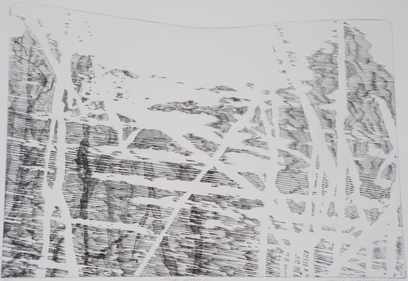 Sheigla HARTMAN : Muddy waters - Gravure