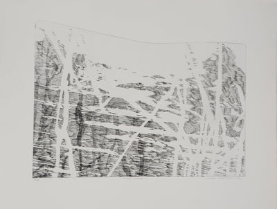 Sheigla HARTMAN : Muddy waters - Gravure (détail)
