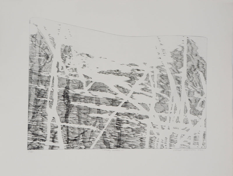 Sheigla HARTMAN : Muddy waters - Gravure (détail)