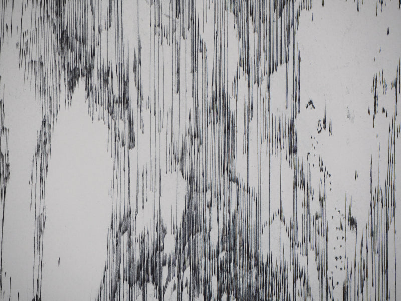 Sheigla HARTMAN : Waiting for the sun to rise - Gravure (détail)