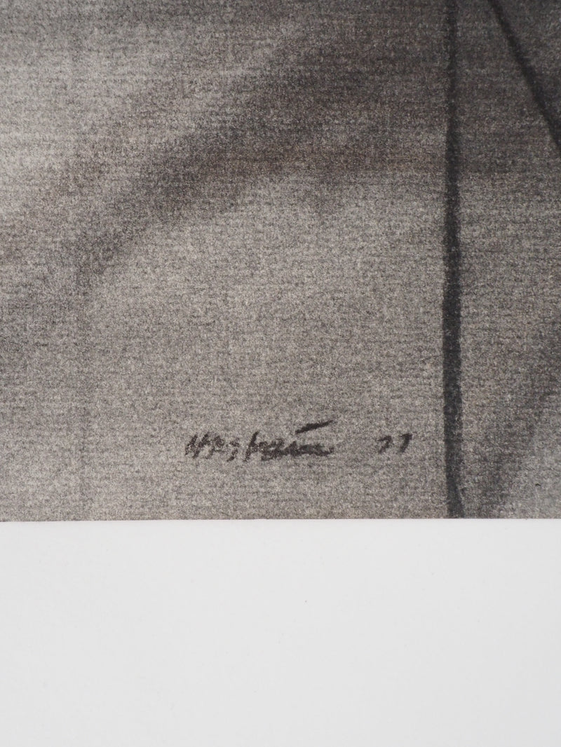 Claude HASTAIRE : Sommet - Pastel (détail)