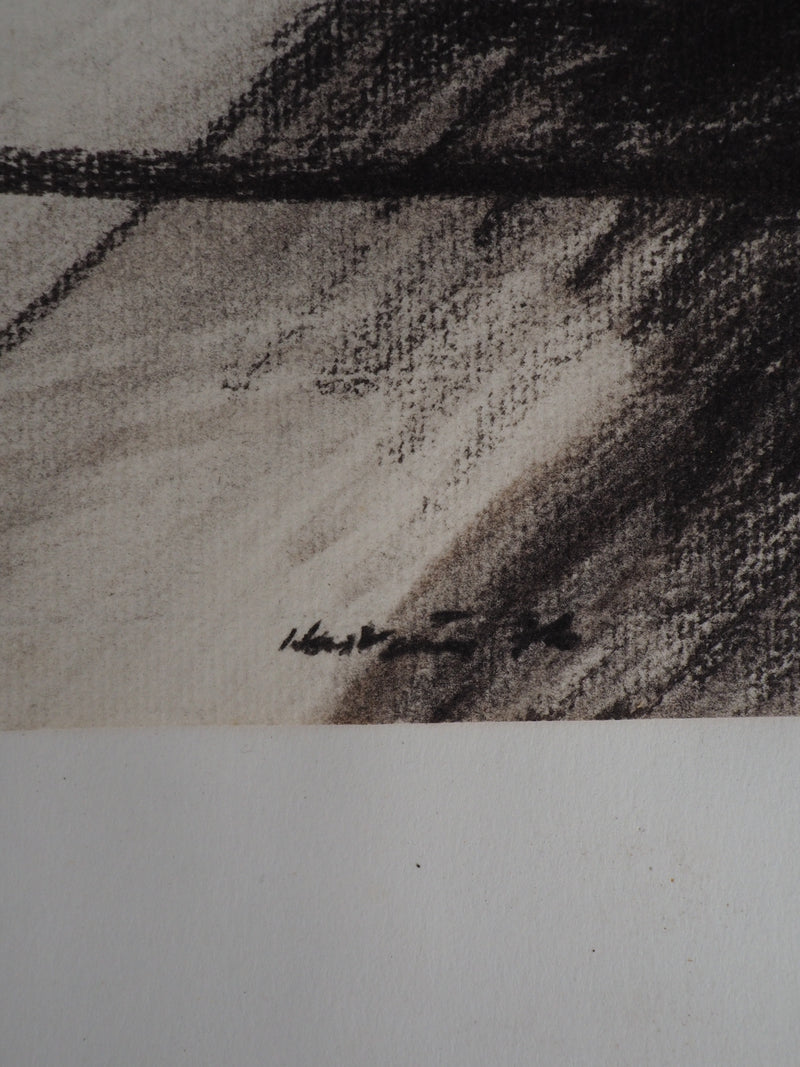 Claude HASTAIRE : Sommet - Pastel (détail)