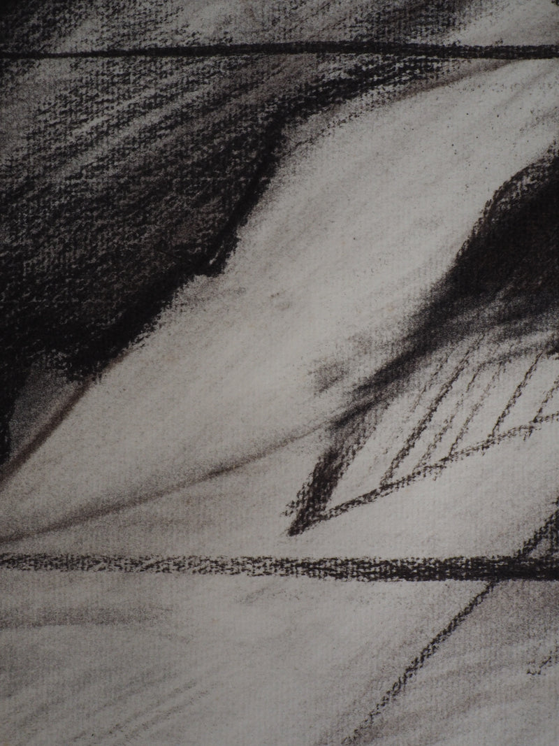 Claude HASTAIRE : Sommet - Pastel (détail)