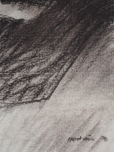 Claude HASTAIRE : Vallée - Pastel (détail)