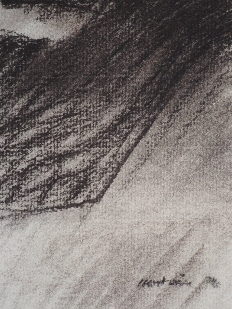 Claude HASTAIRE : Vallée - Pastel (détail)