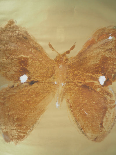 Michel HENRY : Papillon IV : Orgyia, 1958 - art (détail)