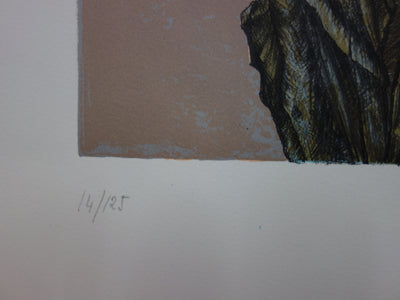 Pierre HENRY : Les quatre saisons - Lithographie (détail)