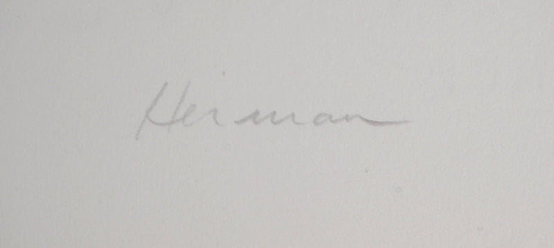 Jean Luc HERMAN : Le brasier blanc - Lithographie (détail)