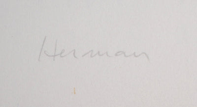 Jean Luc HERMAN : Le brasier bleu - Lithographie (détail)