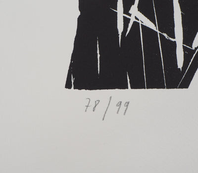 Jeroen HERMKENS : Pont de Brooklyn - Lithographie (détail)