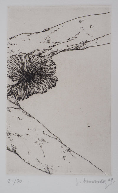 José HERNANDEZ : Tête de fleur - Gravure
