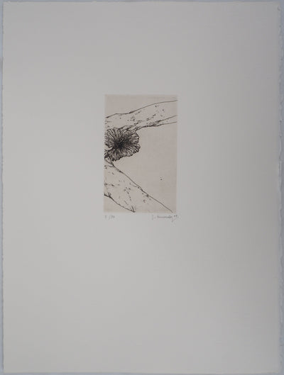 José HERNANDEZ : Tête de fleur - Gravure (détail)