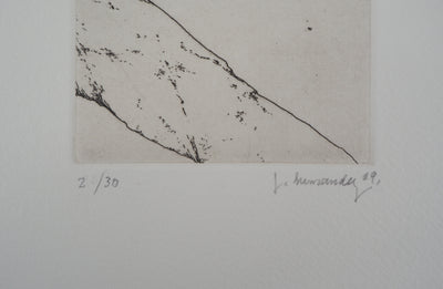José HERNANDEZ : Tête de fleur - Gravure (détail)