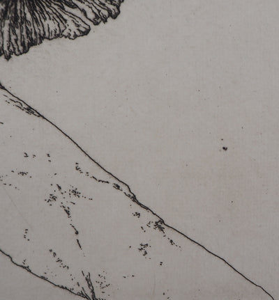 José HERNANDEZ : Tête de fleur - Gravure (détail)
