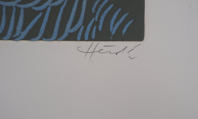 Jacques HEROLD : Algues marines surréalistes, 1975 - Gravure (détail)
