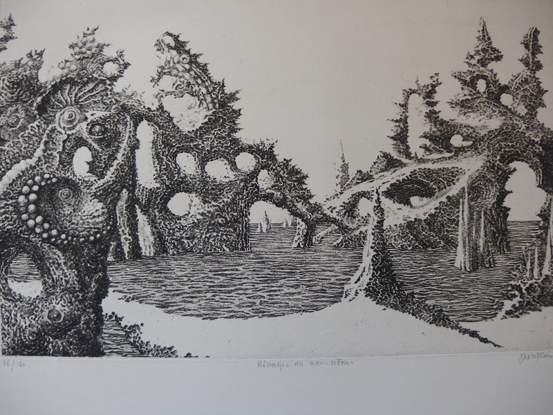 Jacques HOUPLAIN : Rivages de non-retour - art (détail)